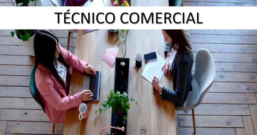 tecnico comercial 1000