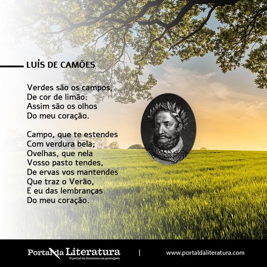 2425 camoes23 01