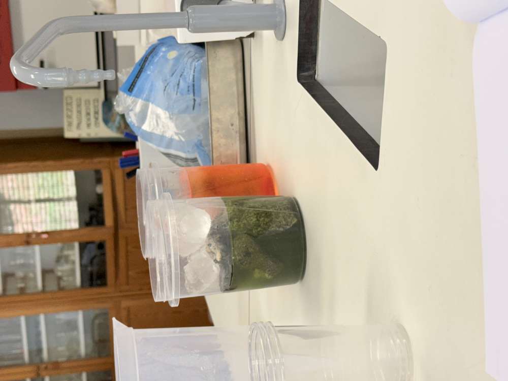 2510 ciencia com agua07