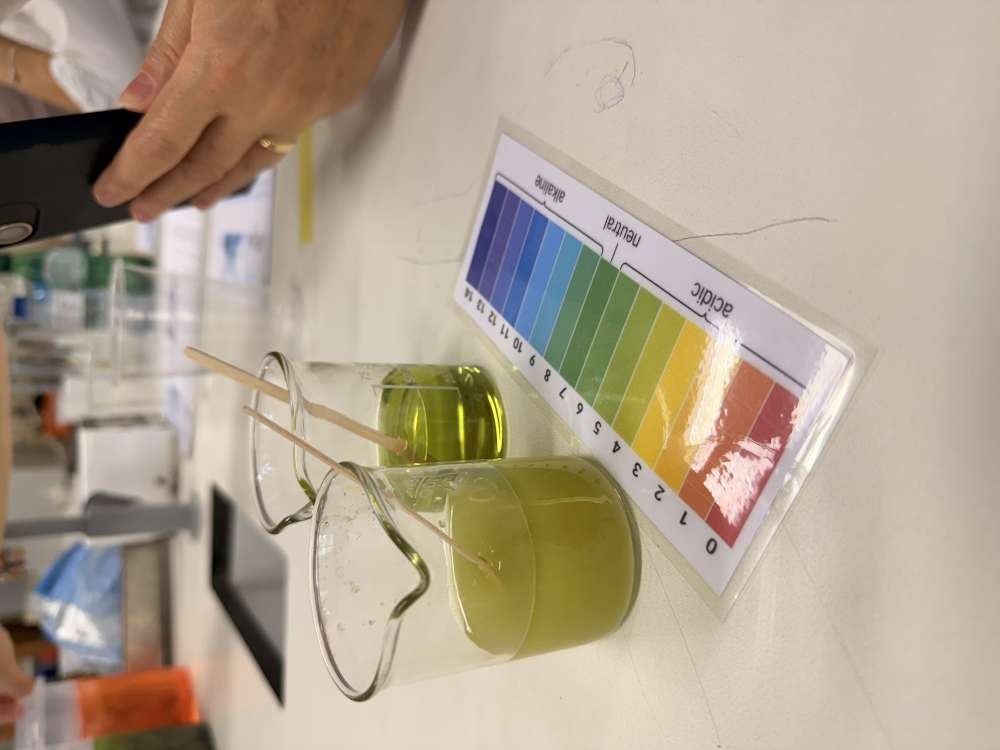 2510 ciencia com agua09