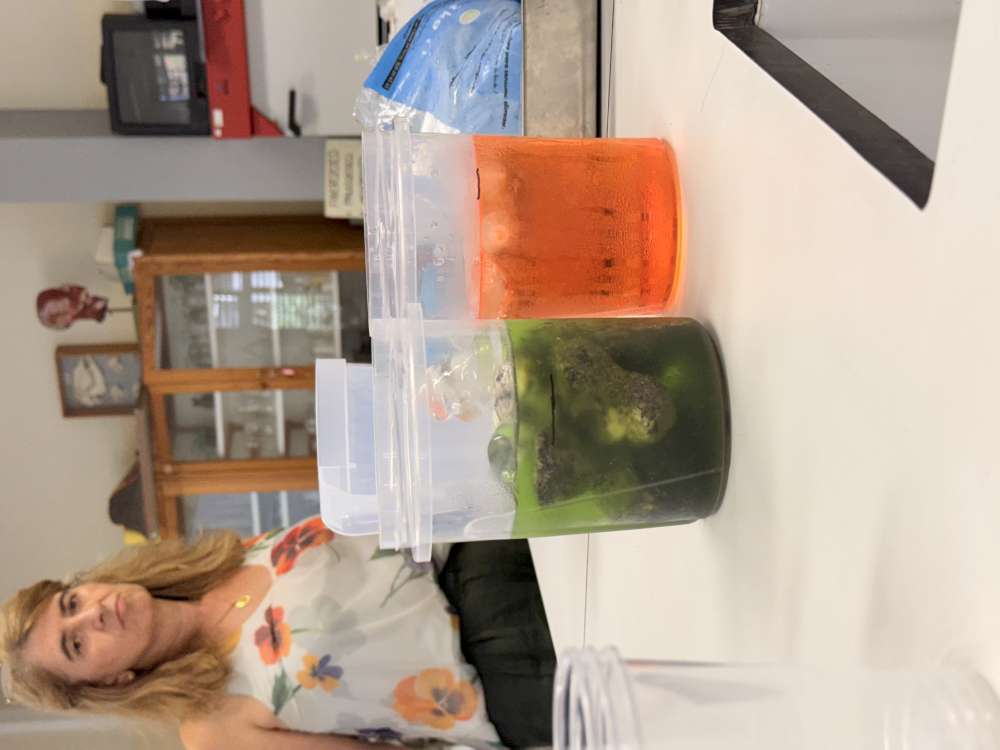 2510 ciencia com agua10