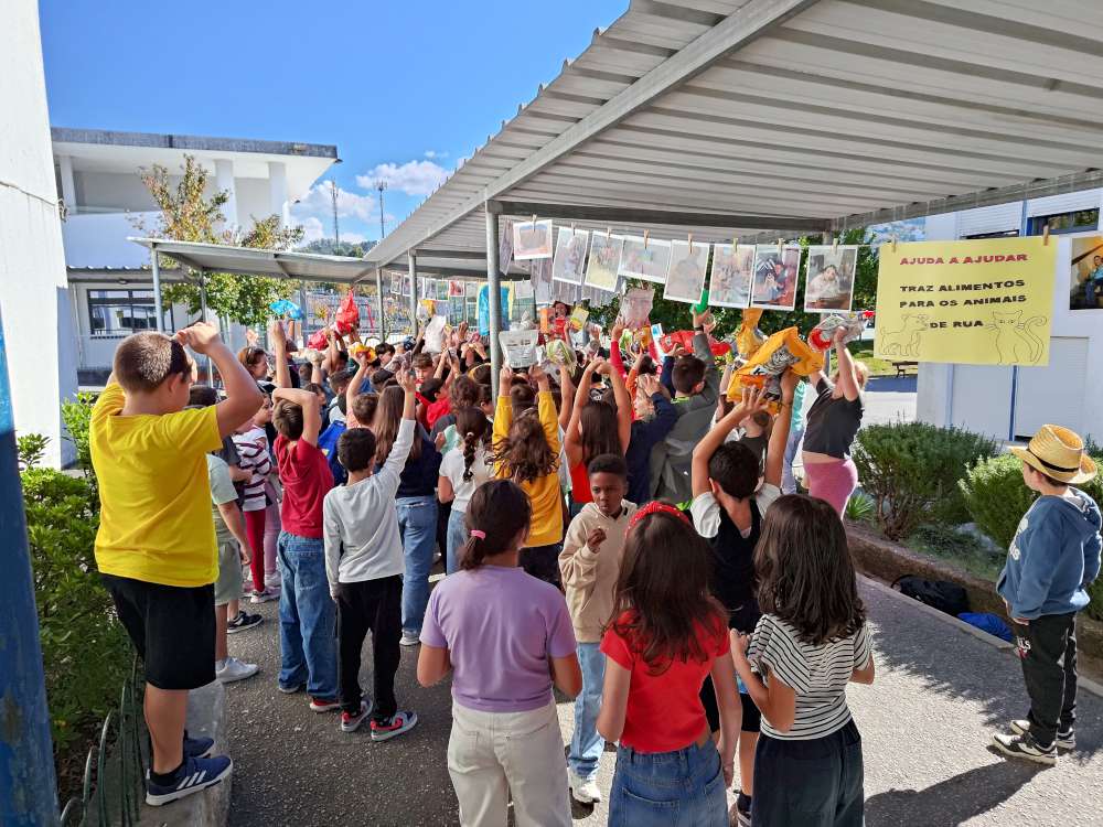 2510 dia do animal01