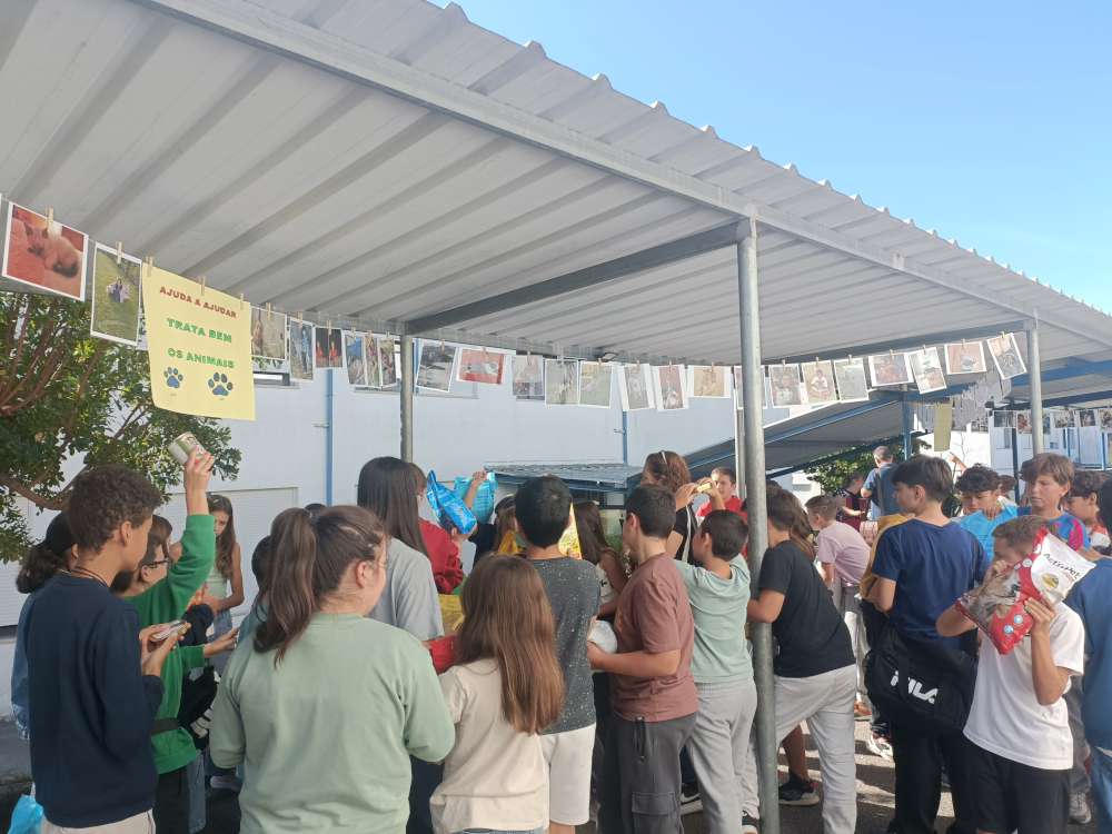 2510 dia do animal02