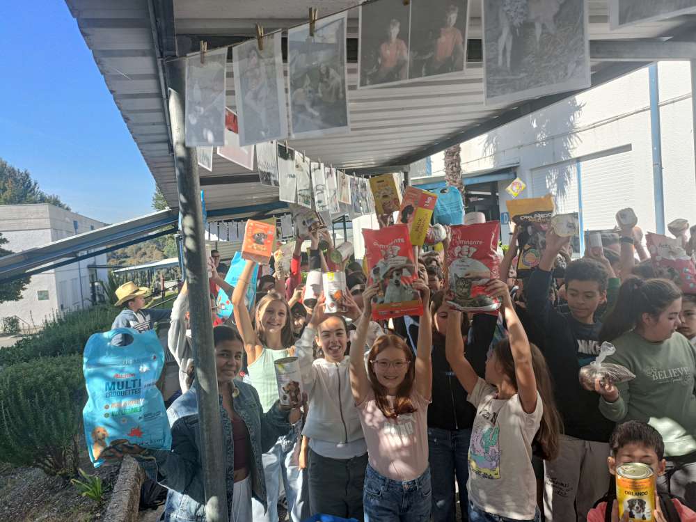 2510 dia do animal03