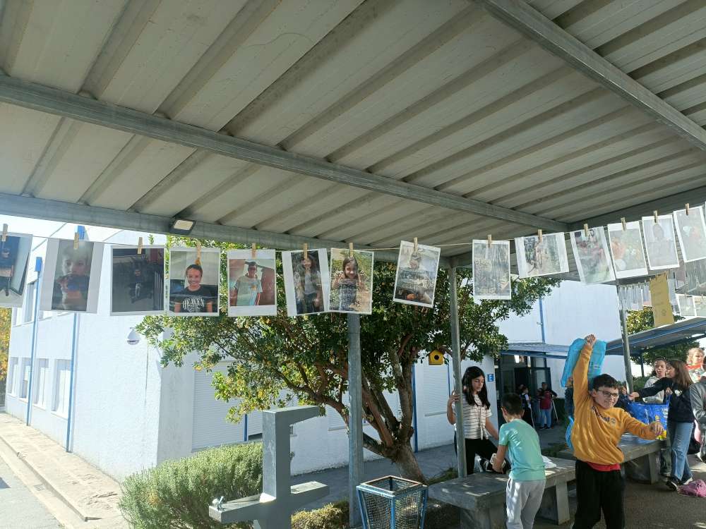 2510 dia do animal04