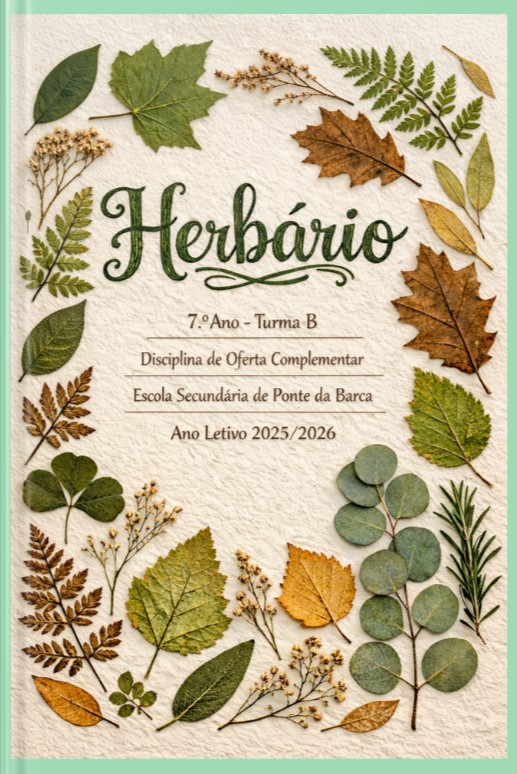 2603 herbario